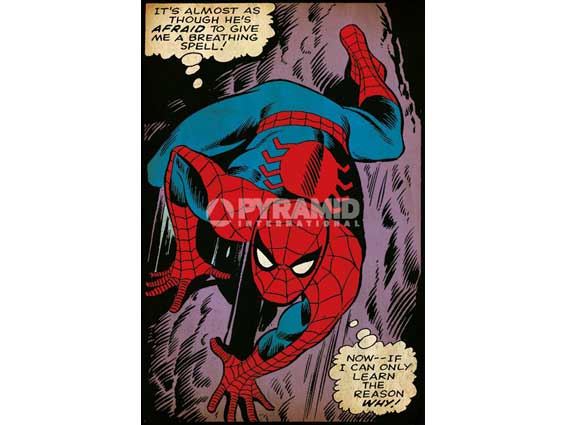 PP33675(海報 -Spider Man 蜘蛛人)