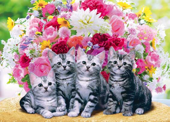 05-106(500片拼圖 貓咪與盛開的花卉)